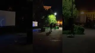 Валет и Дама король и шут