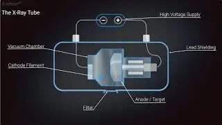 X Ray Production Animation
