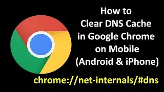 How to Clear DNS Cache in Google Chrome on Mobile [ chrome //net-internals/