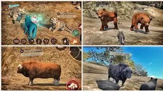 The Wolf- Top 10 Strongest Animals in Wild Tundra