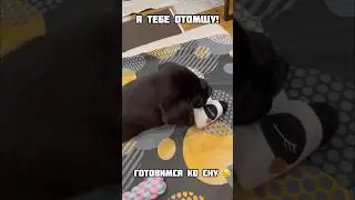 3,5 месяца 🥰 