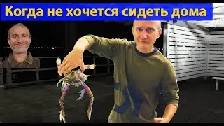 Рыбалка. Когда австралийцу делать нечего, он... идет ночью на пирс. (видео 285)