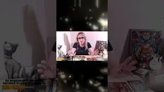 #таро
