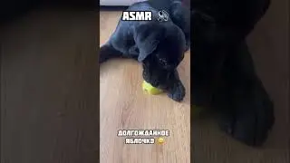 Кушает яблочко🍏 