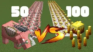 50 Zoglin x 100 Blaze in MINECRAFT !!