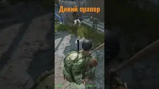 DayZ. Дикий прапор. 