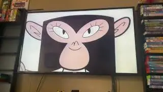 Opening To MVP 2: Most Vertical Primate 2002 VHS