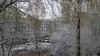 Погода в Пскове 19.04.2024