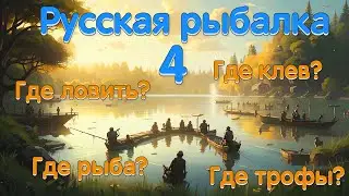 Бот в Русской рыбалке 4 - Трофы форель ручьевая и карп Динкенбюльский зеркальный!