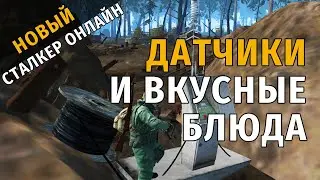 50. Датчики и вкусные блюда. Новый Сталкер Онлайн, СПБ сервер.