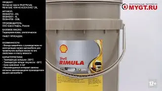 Моторное масло Shell Rimula R6 M SAE 10W-40 ACEA E4/E7 20L 550046753 
