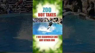 ZOO HOT TAKES! Comment your own controversial zoo opinion OR tell me why I'm wrong #shorts #hottakes