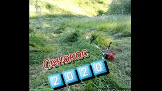 Сенокос 2020