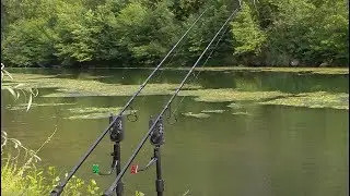 CARP RUN | R2L Prologic