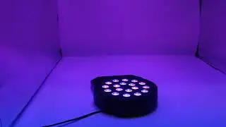 MVI 0085