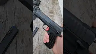 Ultra Fast Compact Pistol. The Dan Wesson DWX Compact