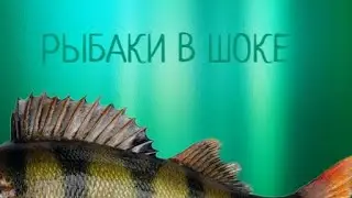 ЭТА СНАСТЬ ИСТРЕБИТ ВСЕГО ОКУНЯ !!!