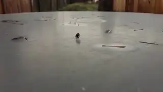 Ant-Man Shrinking Effect Test