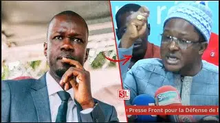 Éventuelle amnistie de Sonko ? Cheikh Bara Ndiaye lâche le morceau “ liniou beugu
