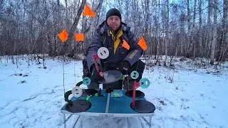 ЛУЧШИЕ БЮДЖЕТНЫЕ ЖЕРЛИЦЫ!!! Обзор на КУРСКИЕ ЖЕРЛИЦЫ.