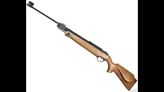 Air rifle 
