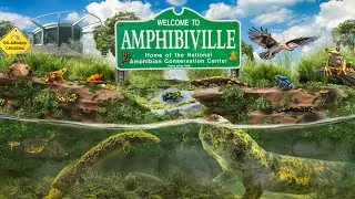 Zoo Tours: National Amphibian Conservation Center | Detroit Zoo