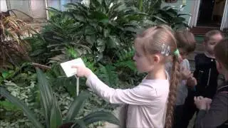 Юные натуралисты