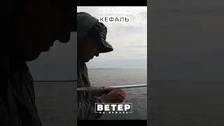 Рыбалка для начинающих на кефаль! Лучший ветер для рыбалки на море. Как подобрать ветер для рыбалки?