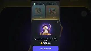 23 August Hamster Kombat Daily Combo Cards for Today 23/08/2024 #hamsterkombat