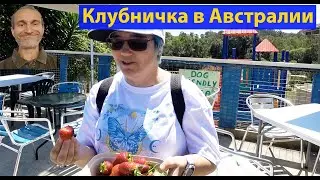 Побудь колхозником за свои же деньги. (видео 588)
