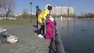 Ясмин Мейрович кормит уточек на Останкинском пруду
