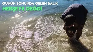 BALIK AVI | KASNAK OLTA İLE PEŞ PEŞE GELEN SAZAN BALIKLARI (SAZAN AVI 2022) 