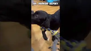 Учимся играть с канатиком🥰 