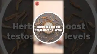 Testosterone Level कैसे बढ़ाये | How to BOOST Testosterone Naturally | #testosteroneboost #sperm