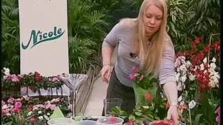 Лесные кактусы
