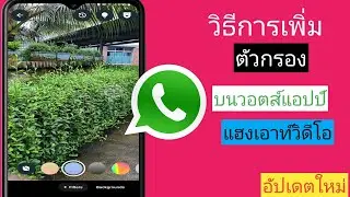 วิธีเพิ่มตัวกรองในการโทรวิดีโอ WhatsApp (อัปเดตใหม่ปี 2024) | ใช้ตัวกรองในการโทรวิดีโอ WhatsApp