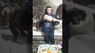Урозмат Хофиз акамиздан Жонли Ижро Торда
