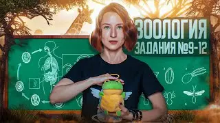 Зоология | Сборник Рохлова | Задания с рисунками | ЕГЭ-2025 по биологии