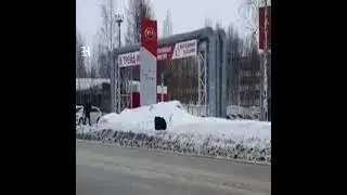 Это Россия #Shorts Медведь гоняет людей в Нижневартовске