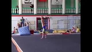 Вольные чемпионат ДНР октябрь 2015