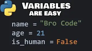 Python variables for beginners ❎