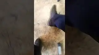 сатана, это она