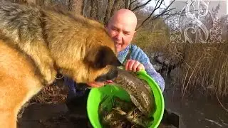 Как поймать диких раков и налима на Селигере поздней осенью.