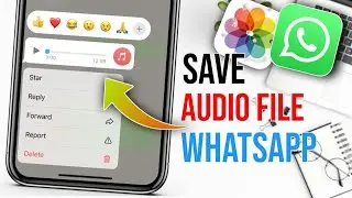 How to save audio from whatsapp on iphone | How ow to save audio messages from whatsapp on iphone