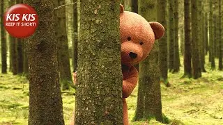 Next time you meet a bear follow the rules | The Black Bear - by M.Fortunat-Rossi & X.Seron