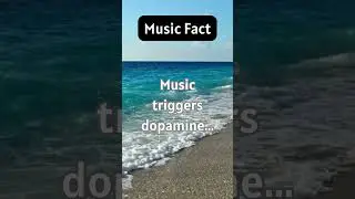 The power of Music... 