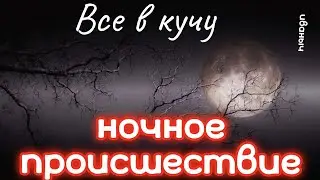Все в кучу.НОЧНОЕ ПРОИСШЕСТВИЕ.