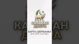 По милости Всевышнего, идёт строительство очередной сельской школы в Мавритании.