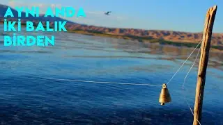 FISHING - WE CATCHED HUGE FISH AGAIN ( CARPET FISH 2021 )
