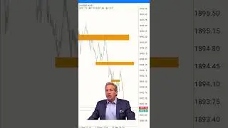 #forexeducation